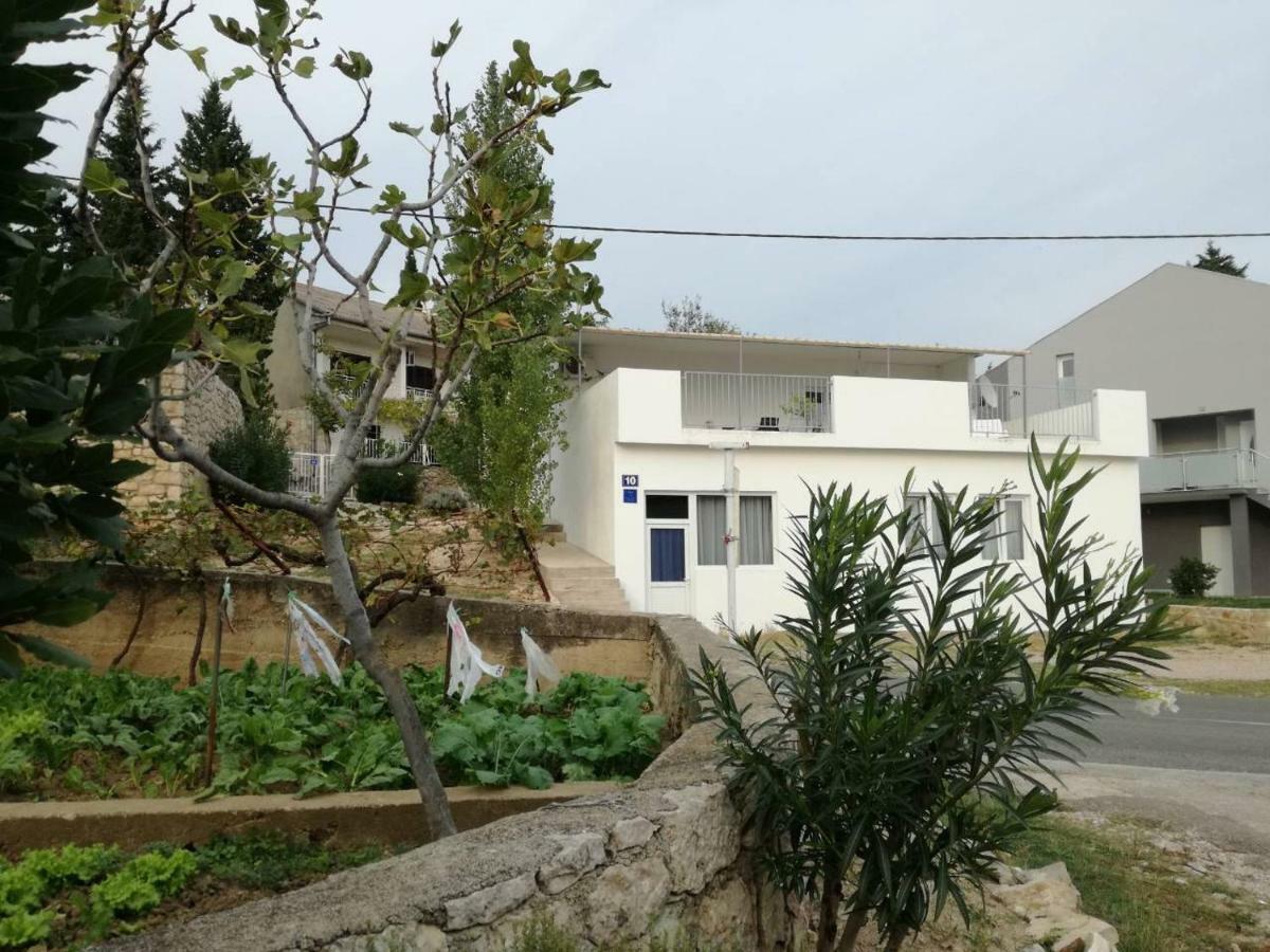 House Zara Villa Maslenica Exterior foto